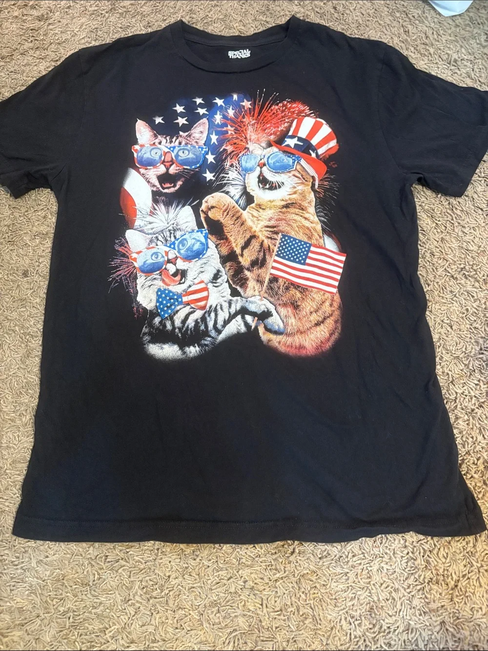 Patriotic Black Cat Graphic Tee for Pets